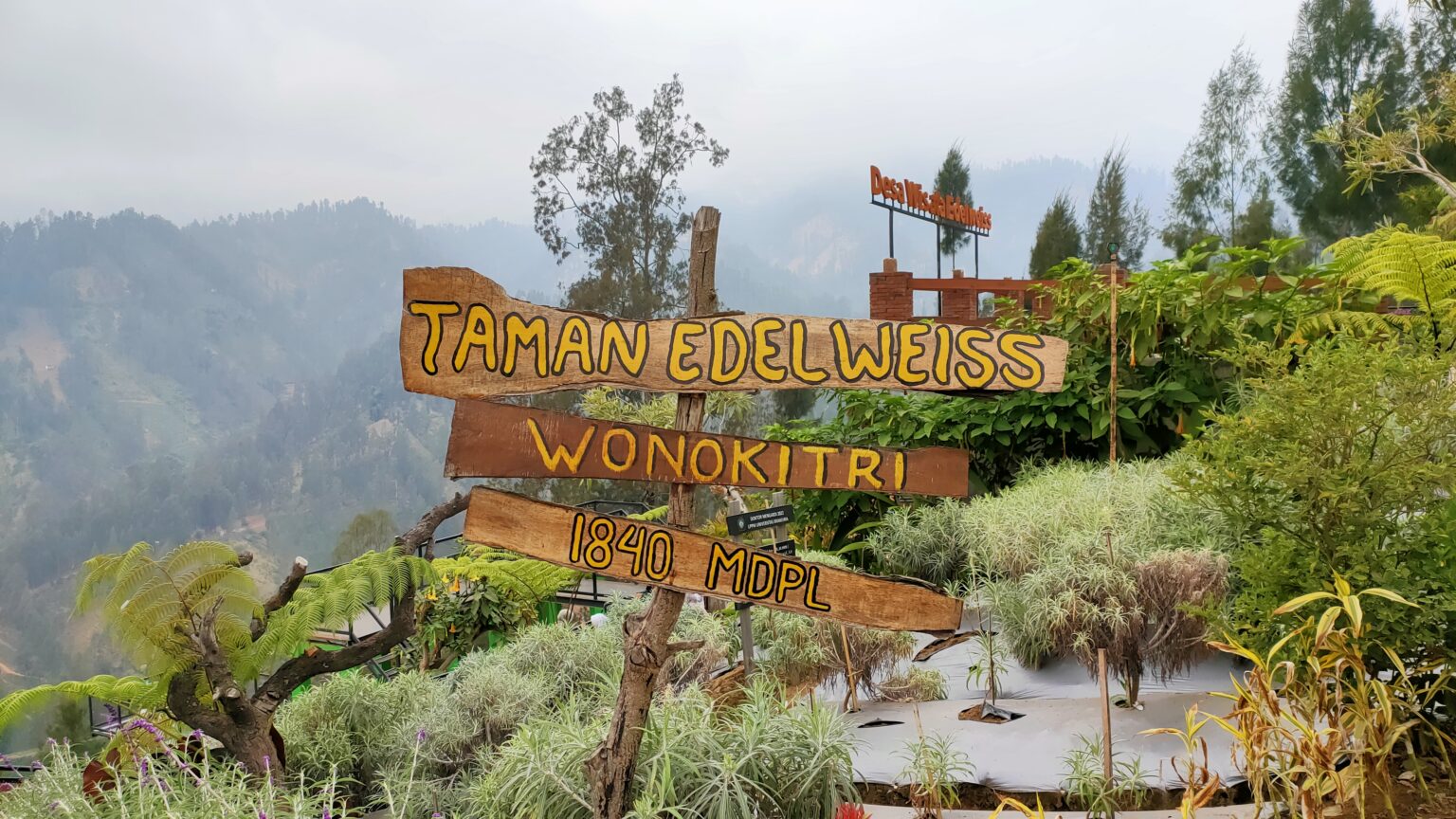 Taman Edelweiss Desa Edelweiss Wonokitri